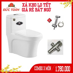 Bàn cầu 1 khối VICTORY 6051