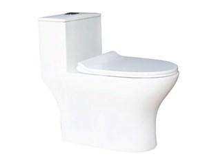 Bàn cầu Thiên Thanh 1 khối EVEREST- CK79