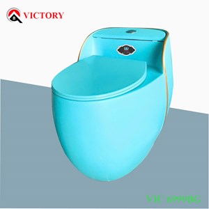 Bàn cầu VICTORY VIC 6999 BLUE