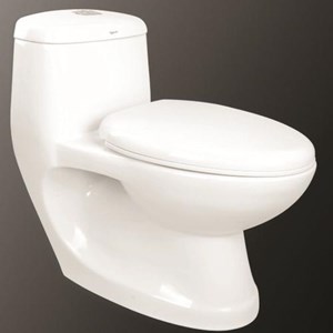 Bàn cầu Viglacera liền khối C 0504