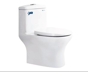 Bàn cầu khối Thiên Thanh 1 khối RIVER - CK69