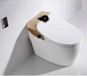 Bàn cầu thông minh Kassani KS-2500