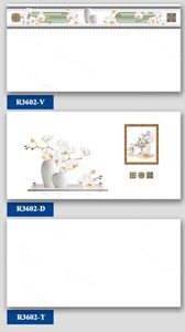 Bộ Gạch ốp tường Hà Thanh R3602