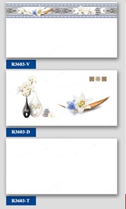 Bộ Gạch ốp tường Hà Thanh R3603