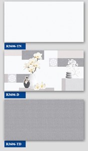 Bộ Gạch ốp tường Hà Thanh R3606