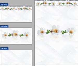 Bộ gạch ốp tường BNC 3633