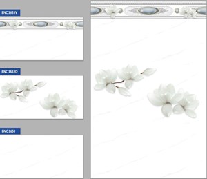 Bộ gạch ốp tường BNC 3651