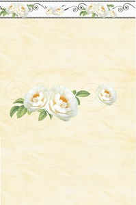 Bộ gạch ốp tường Prime 9363