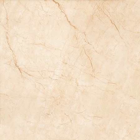 Đá Granite bóng kiếng toàn phần NY 8806