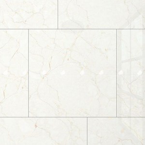 GẠCH ĐỒNG TÂM 6060VAMCODONG005-FP