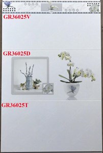 Gạch 30x60 bộ 36025
