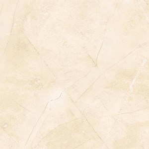 Gạch Đồng Tâm 3030ROME002