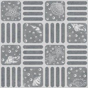 Gạch Đồng Tâm 4040THESEA002