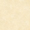GẠCH ĐỒNG TÂM 6060STONE005-FP-H+