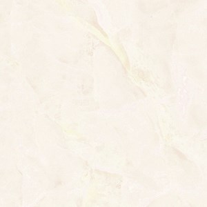 Gạch Đồng tâm 40x40 484