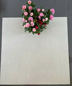 Gạch Granite Bạch Mã 300x600 giá rẻ