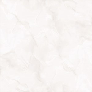 Gạch Granite bóng kiếng toàn phần NY 8882