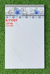 Gạch Prime 25x40 KTS56V