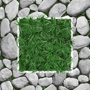 Gạch Sân vườn Viglacera SV-404