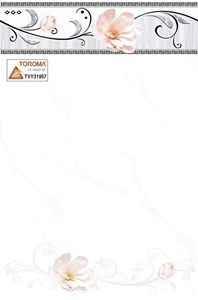 Gạch TOROMA 300x450 TVY31957