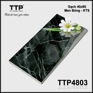 Gạch TOROMA 40x80 TTP4803