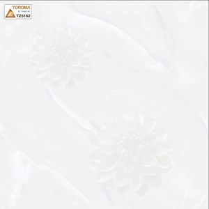 Gạch TOROMA 50x50 TZ5162