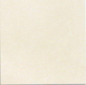 Gạch 600x600 Taicera P67542N