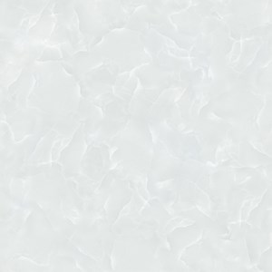 Gạch Titami 50x50 CTM 5682