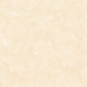 Gạch Titami 50x50 CTM 5683