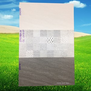 Gạch Viglacera 30x60 bộ KTM 3979-3980