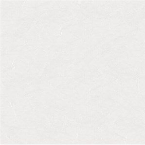 Gạch Viglacera MDP 666006