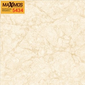 Gạch men VITTO 5434