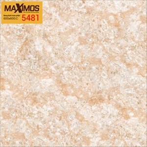 Gạch men VITTO 5481