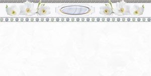 Gạch ốp tường Prime 9938