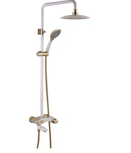 Sen cây nóng lạnh Roland RL 22A