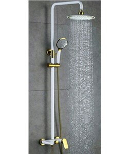 Sen cây nóng lạnh Roland RL 28A