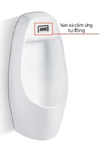 Tiểu nam Kassani 6602